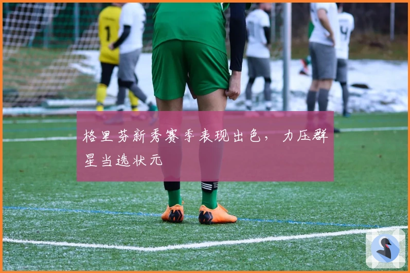 格里芬新秀赛季表现出色，力压群星当选状元